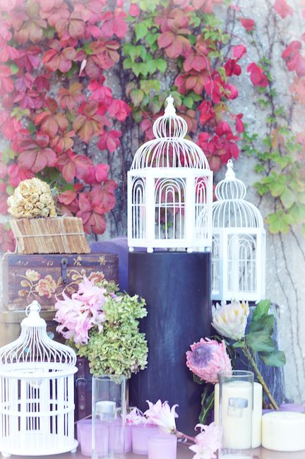 my vintage wedding in portugal gardens