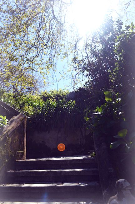 my vintage wedding in portugal gardens