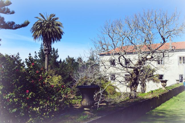 my vintage wedding in portugal gardens