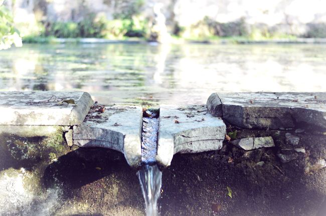 my vintage wedding in portugal gardens