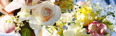 the quinta portugal wedding